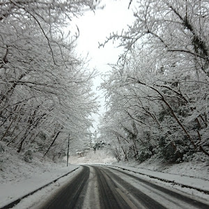 カローラフィールダー NZE161G