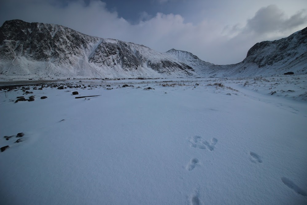 В погоне за снежными пейзажами (острова Lofoten в Новом 2020 году)