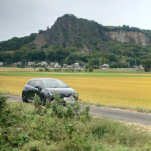 カローラスポーツ NRE210H