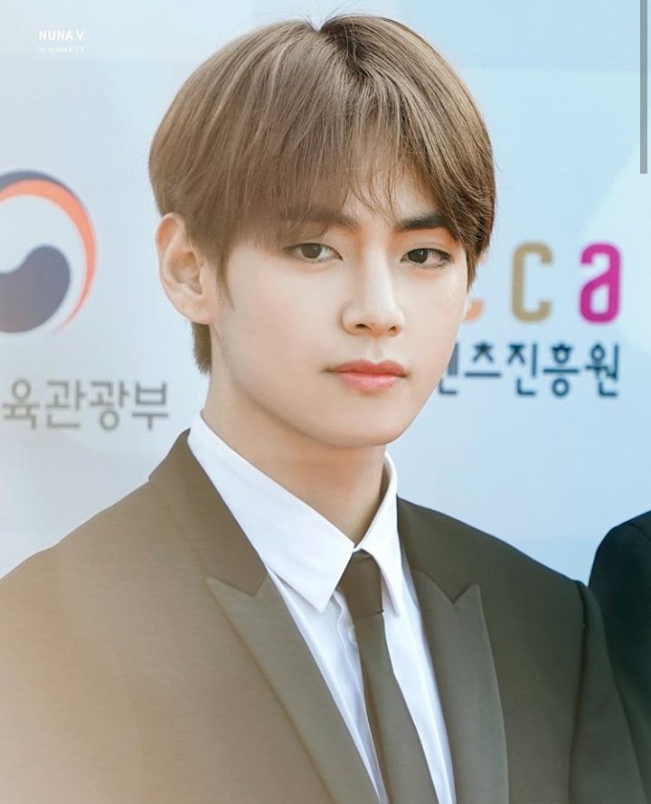 bts v