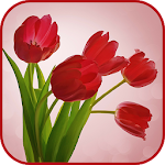 Cover Image of Tải xuống Good Morning Gif & Hình ảnh 1.1 APK