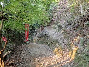 右に明星ヶ岳分岐