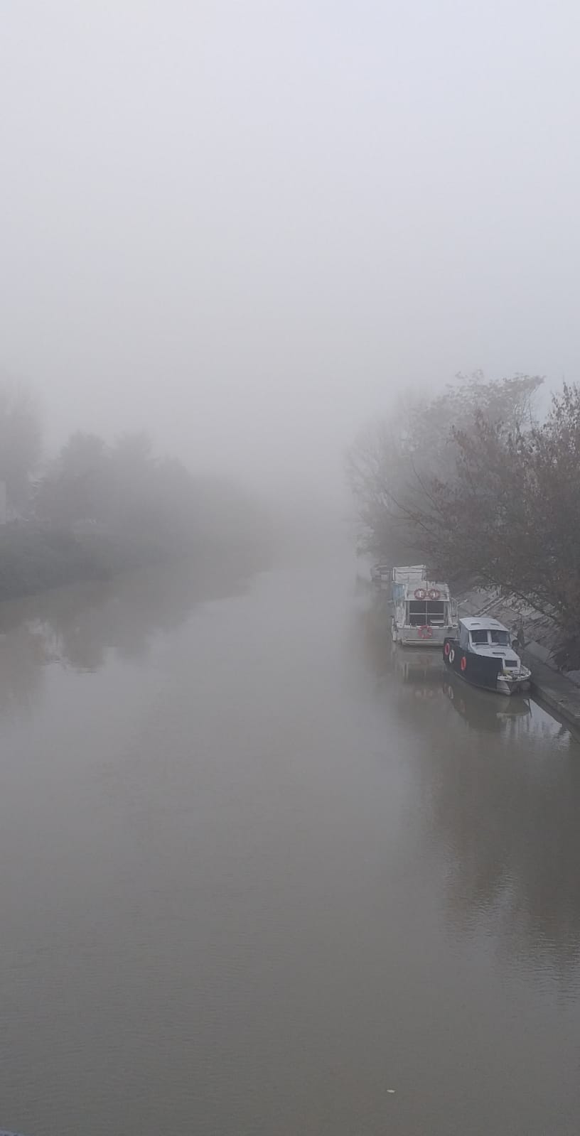 un Po di nebbia... di mariasacchi_