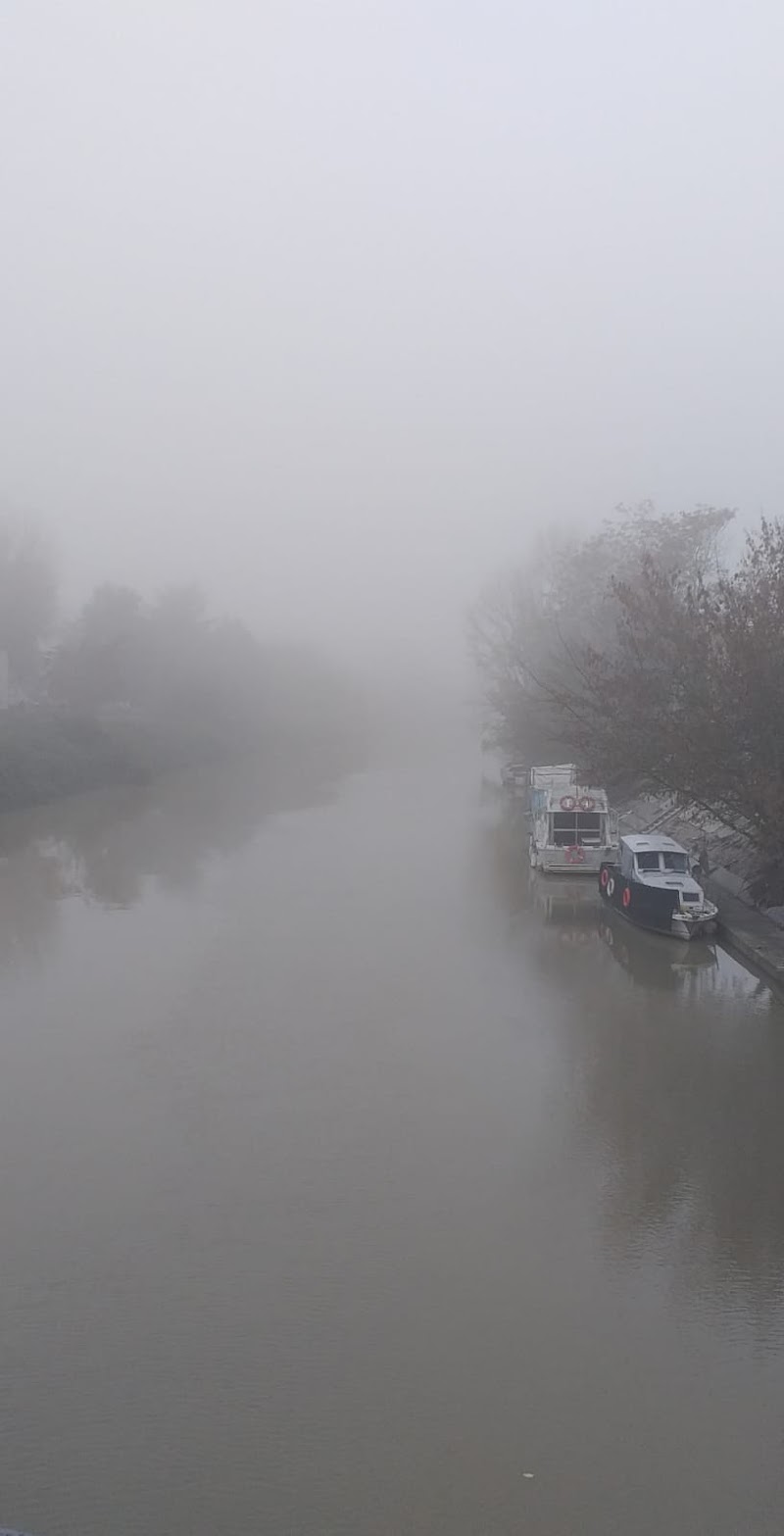 un Po di nebbia... di mariasacchi_