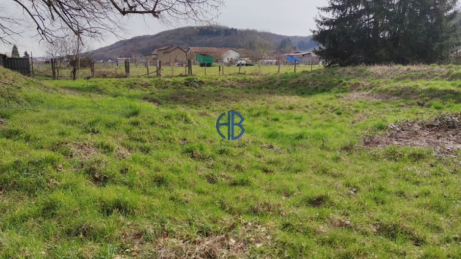 Vente terrain  1300 m² à Longechenal (38690), 150 000 €