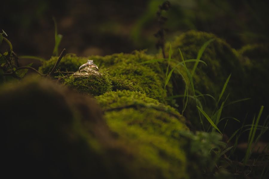 Fotógrafo de casamento Ivan Diaz (ivandiaz). Foto de 17 de novembro 2018