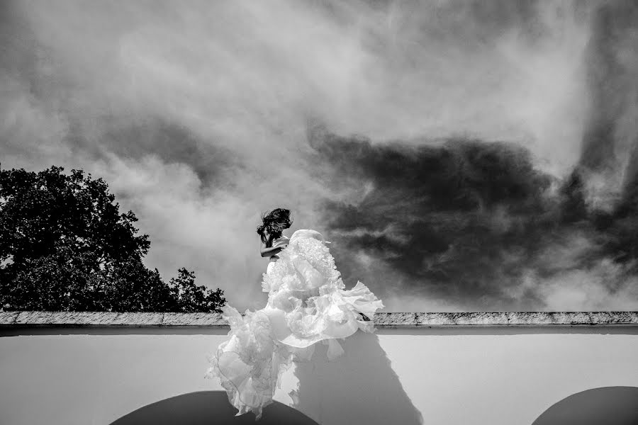 Wedding photographer Matteo Lomonte (lomonte). Photo of 28 November 2023