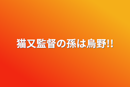 猫又監督の孫は烏野!!