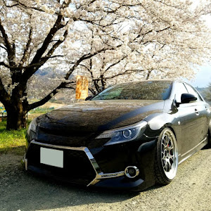 マークX GRX133