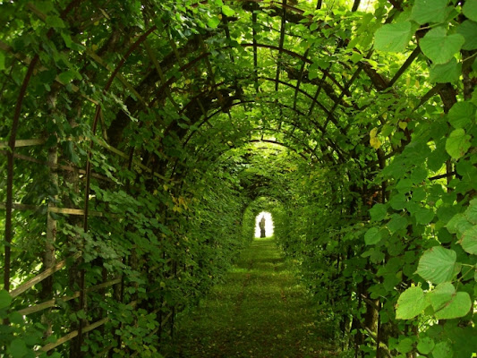 Green tunnel di lady oscar