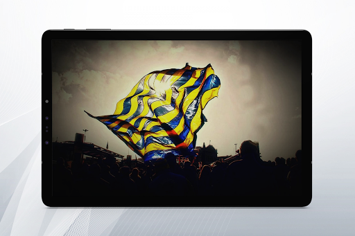 Sarı Kanarya Duvar Kağıtları - HD  4K - 2020