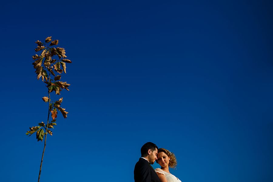 Fotógrafo de bodas Petrica Tanase (tanase). Foto del 17 de julio 2015