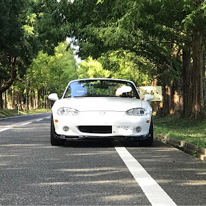 ロードスター NB型