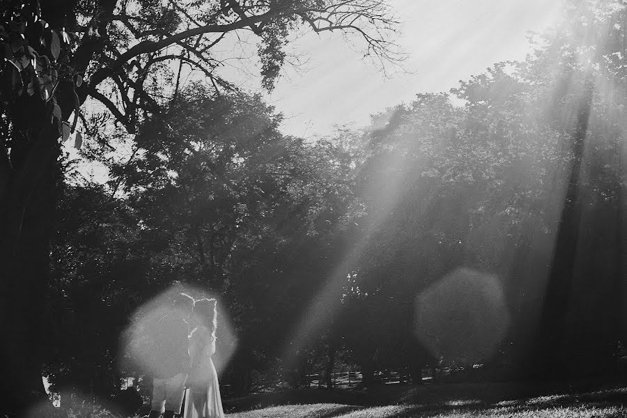 Fotografo di matrimoni Adriano Reis (adrianoreis). Foto del 8 maggio 2018