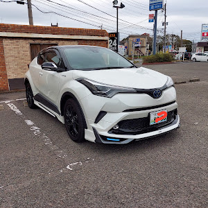 C-HR ZYX10