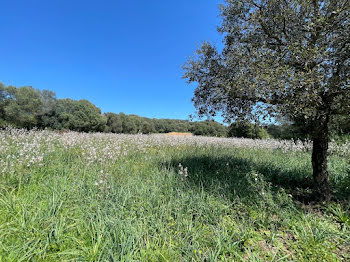 terrain à batir à Figari (2A)