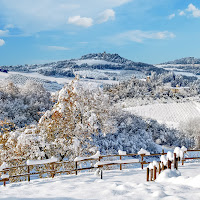 Prima Neve di 