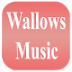 Wallows Music Install on Windows