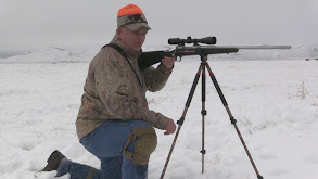 Mike Eastman's 2015 Wyoming Buffalo thumbnail