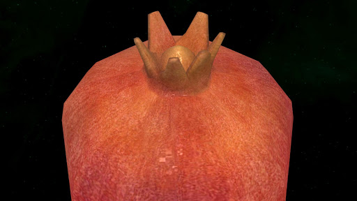 Pomegranate 3D