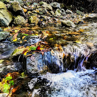 Il colore dell'acqua. di 