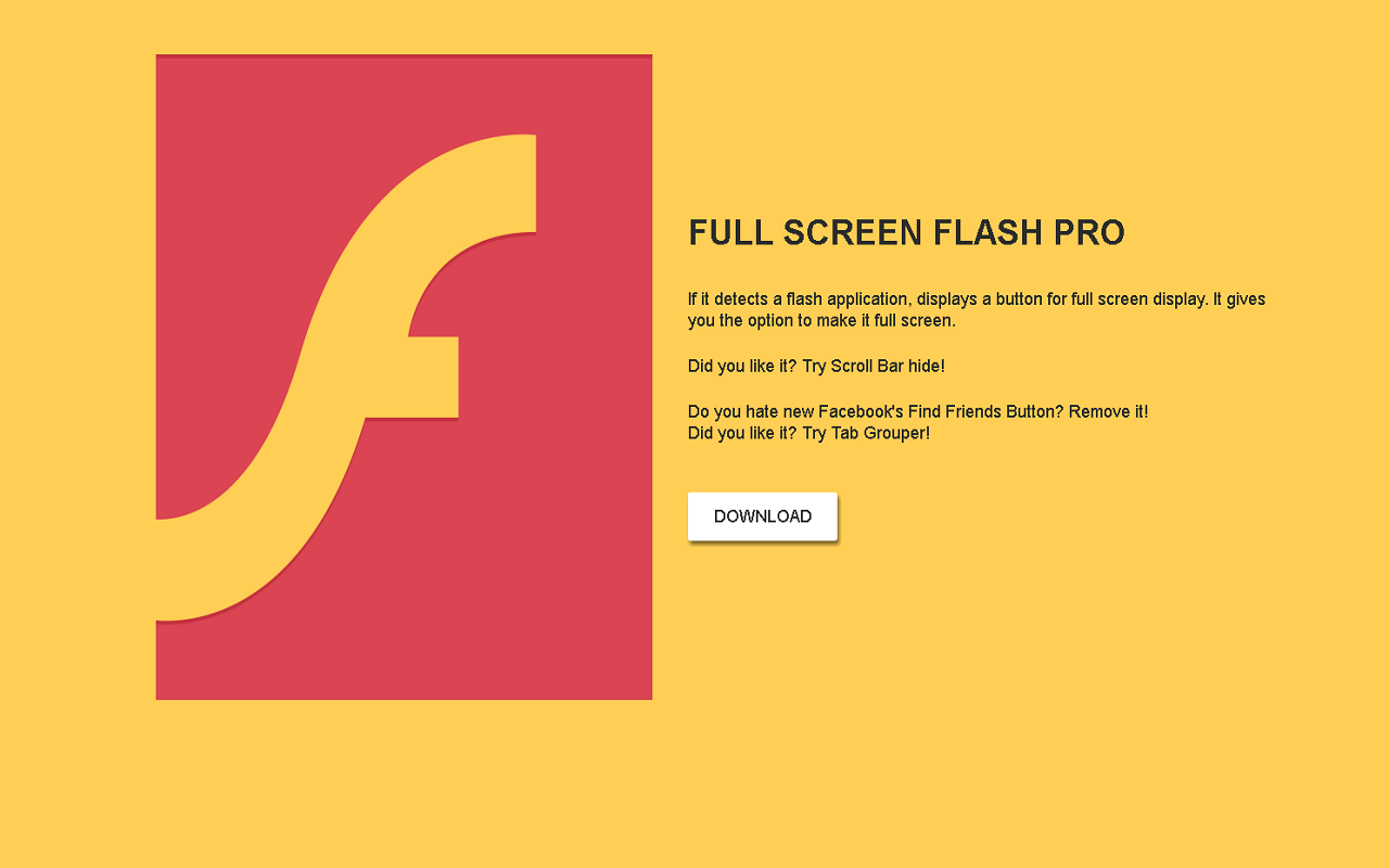 Full Screen Flash Preview image 1