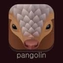 Pangolin VPN chrome extension