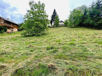 maison neuve à Schirmeck (67)