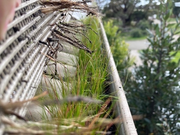 This happens if you don’t clean gutters with gutter guards