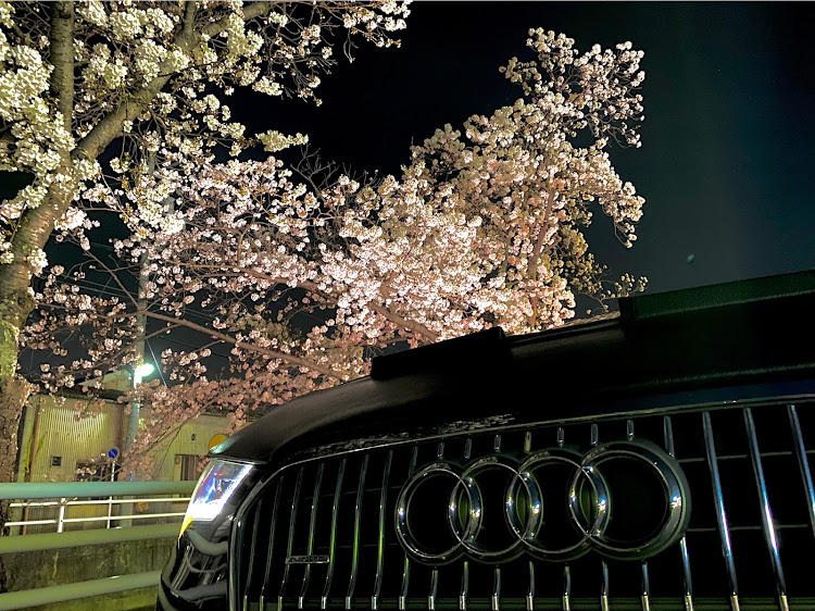 A6オールロードクワトロのA6オールロード・アウディ好きと繋がりたい・アウディのある生活・愛車と桜・桜と愛車に関するカスタム事例の投稿画像1枚目