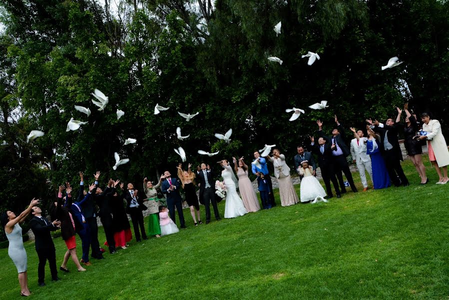 Esküvői fotós Fotografia Video (fotografiayvideo). Készítés ideje: 2016 augusztus 3.