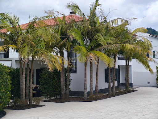 White house with palm trees and garden - House purchase in Furnas, 4 rooms, 4 bedrooms