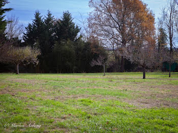 terrain à Buzet-sur-Baïse (47)