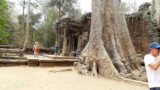 Tomb Raider Movie Temple (Ta Prohm) Cambodia 2016