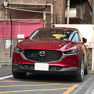 CX-30 DMEP