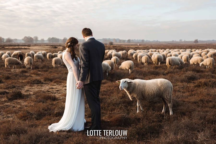 結婚式の写真家Lotte Terlouw (terlouw)。2019 3月7日の写真