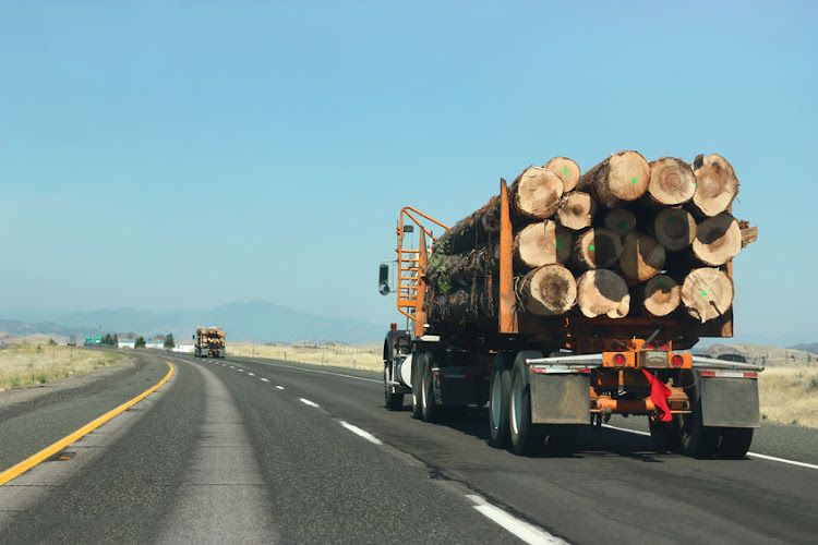 The little boys allegedly climbed on top of the wood and along the way they fell from the truck.