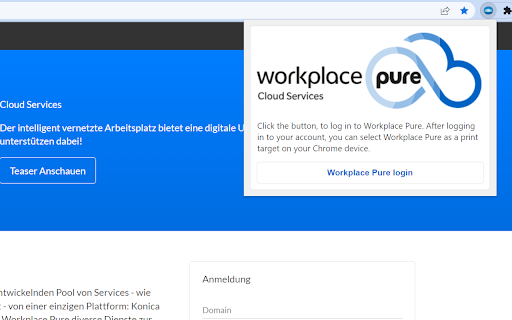 Workplace Pure Browser Extension