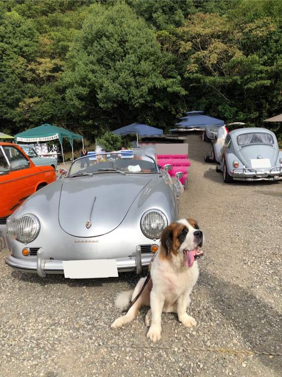 マコちゃんさんが投稿したドイツ車・ポルモコ・モコセデスベンツ・空冷モコカー・さんごろに関するカスタム事例の投稿画像1枚目
