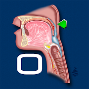 Swallowing Oral  Icon