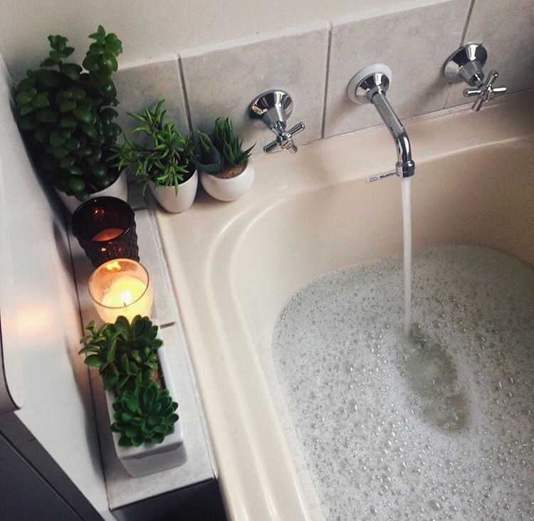 Succulents on a bathtub ledge