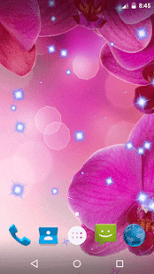 Gentle Flowers Live Wallpaper - náhled