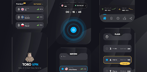 Toro VPN - Secure VPN Proxy