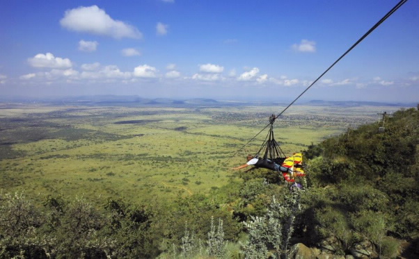 Soar across 2km at an average speed of 120km/h on the Zip2000.