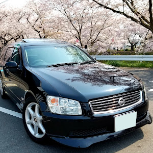 ステージア M35