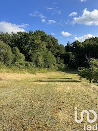 terrain à Sarlat-la-caneda (24)