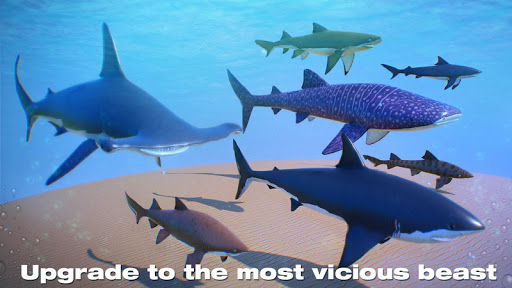 Screenshot Shark Game Simulator