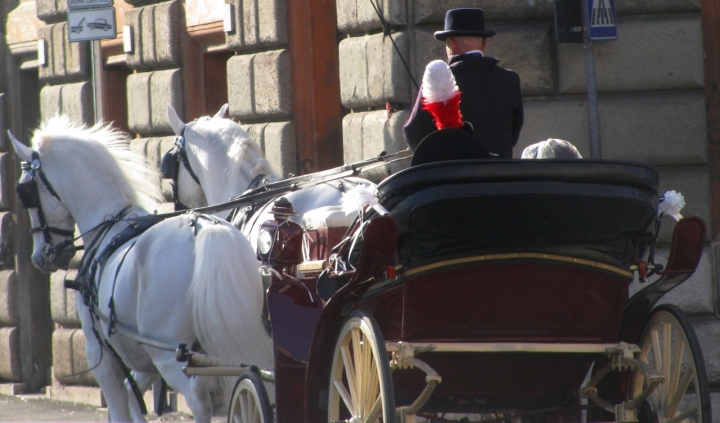 Just married di Elisabetta Di Girolamo