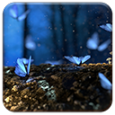 Blue Butterflies Chrome extension download