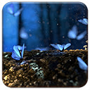 Blue Butterflies Chrome extension download